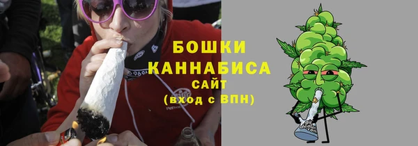 PSILOCYBIN Балабаново