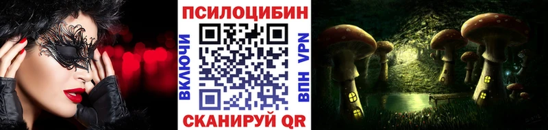 OMG вход купить Кремёнки Псилоцибиновые грибы мицелий